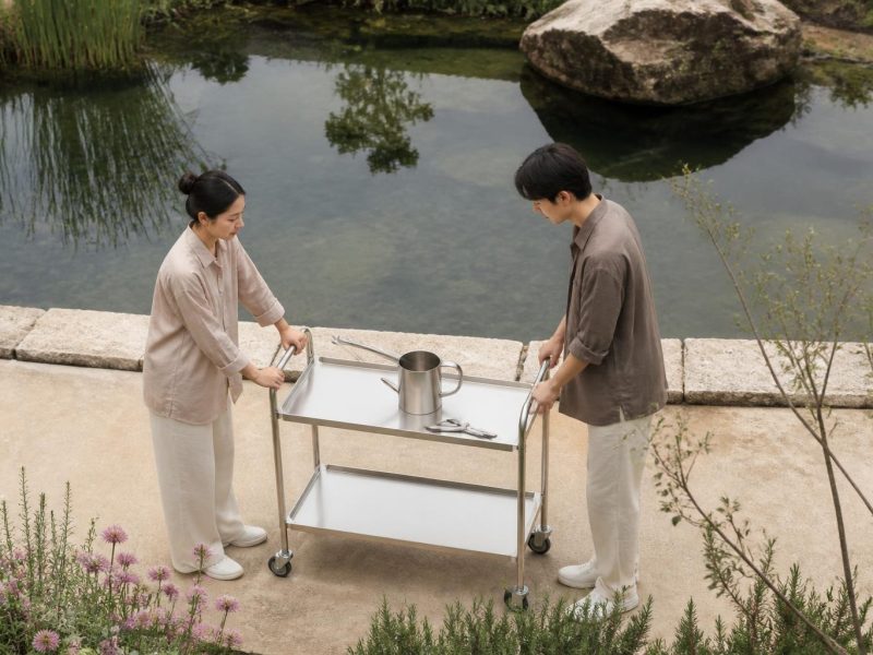Balanced Garden Ponds: Practical Tips for Water, Plants, and Wildlife