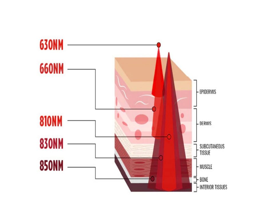 Streamlining Device Sourcing: Comparing Red Light Therapy Manufacturers for Quality and Speed